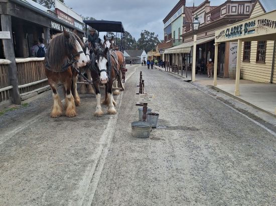 巴拉臘特中心汽車旅館優惠