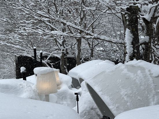 星野リゾート 奥入瀬渓流ホテル クーポン