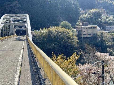 サンリバー大歩危 クーポン
