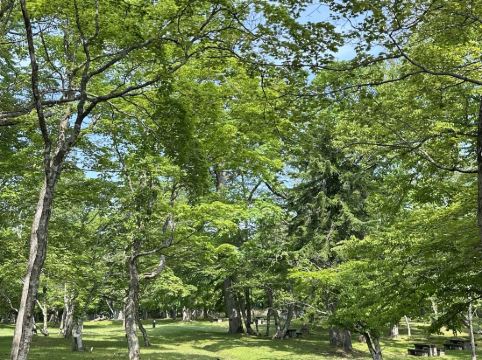 休暇村 支笏湖 クーポン