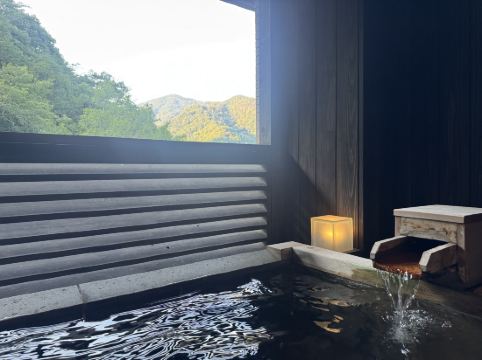 湯山荘 阿讃琴南 クーポン