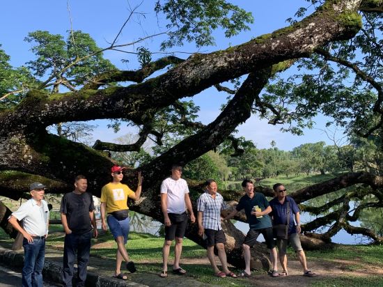 太平金輝酒店優惠