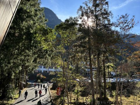 溪頭福華渡假飯店優惠