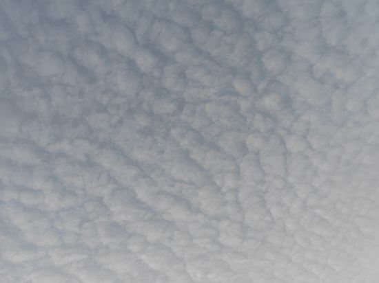 濟寧鳳凰西苑大酒店優惠