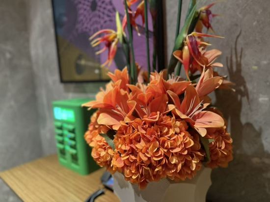 北京國貿商務區希爾頓歡朋飯店優惠