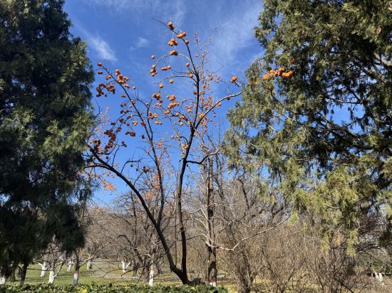 山西晉祠國賓館（太原晉祠景區店）優惠