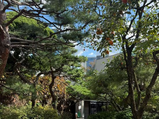 清遠遠光雅閣飯店（清新古龍峽店）優惠