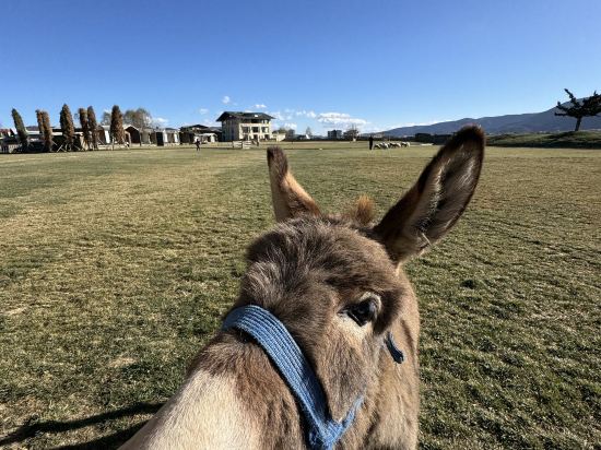 麗思漫丨心宿·穹廬四野供氧莊園（香格里拉店）優惠