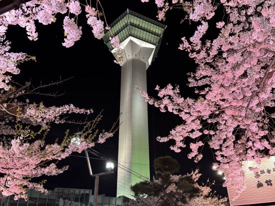 ホテルBRS函館五稜郭タワー前 クーポン
