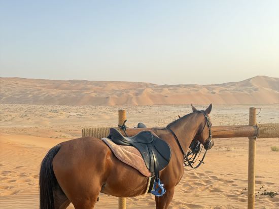 阿布扎比安納塔拉蓋斯爾阿薩拉沙漠度假村優惠