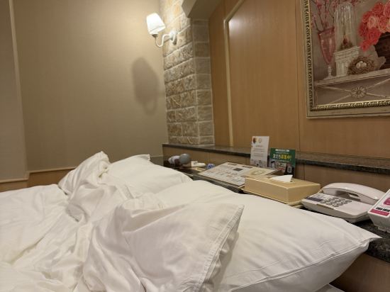 豐中精品花園大阪國際機場酒店優惠