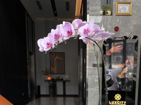 豪華酒店和公寓優惠