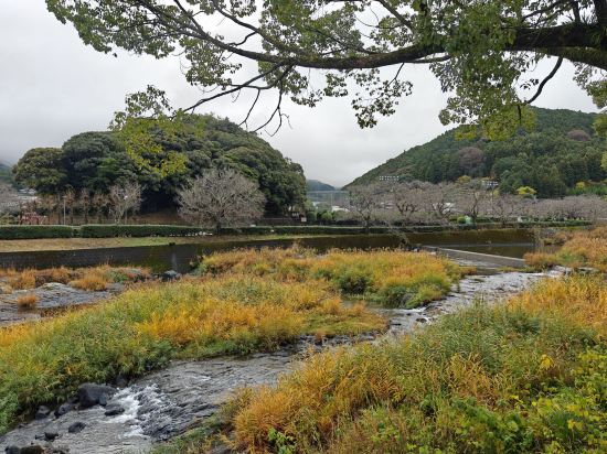 御宿　高砂 クーポン