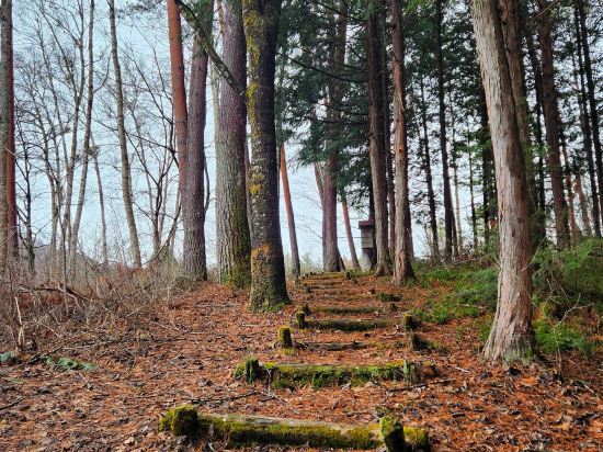 つたや季の宿　風里 クーポン