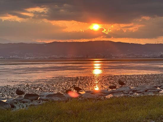 上諏訪温泉 しんゆ クーポン