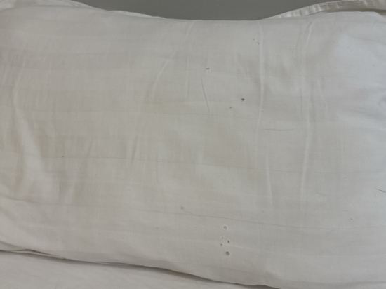 市中心 SSVC 熱點酒店優惠