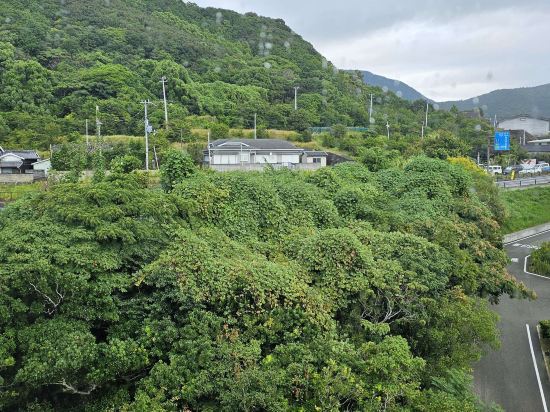 フェアフィールド･バイ･マリオット･和歌山すさみ クーポン