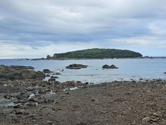 フェアフィールド･バイ･マリオット･和歌山すさみ クーポン