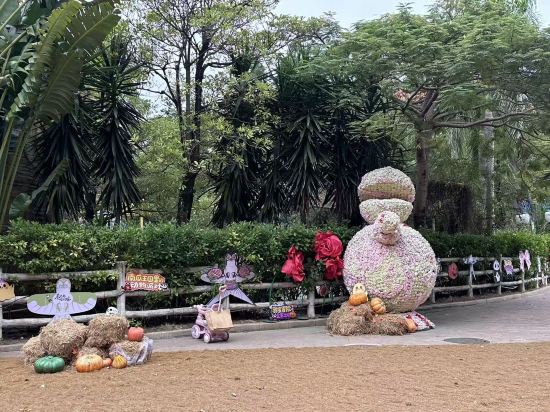 廈門靈玲大飯店優惠