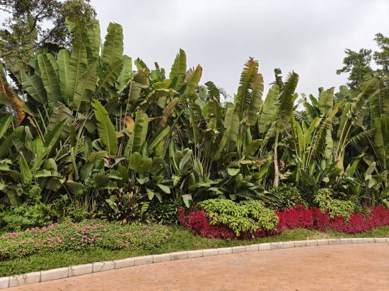 長隆香江酒店（廣州長隆野生動物世界店）優惠