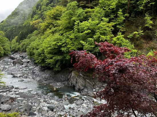 西山温泉 慶雲館 クーポン