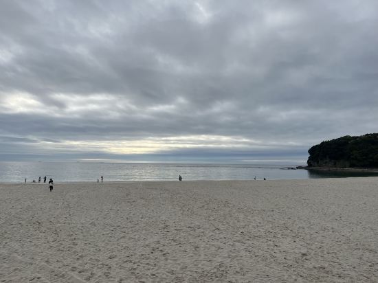 シーサイドペンションプチ白浜 クーポン