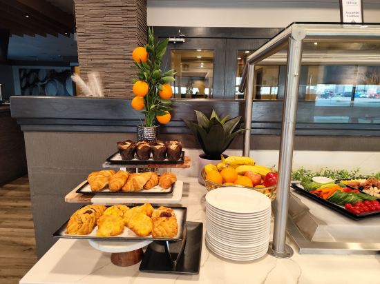 温尼伯機場希爾頓套房酒店優惠