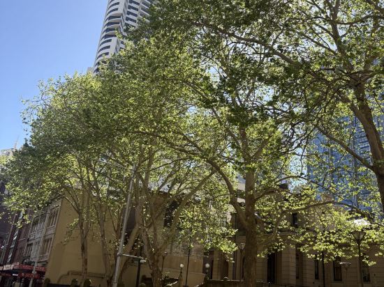 YEHS飯店-雪梨CBD優惠