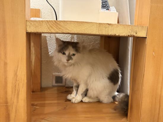 撫雲·供氧輕奢美宿（麗江古城大水車店）優惠