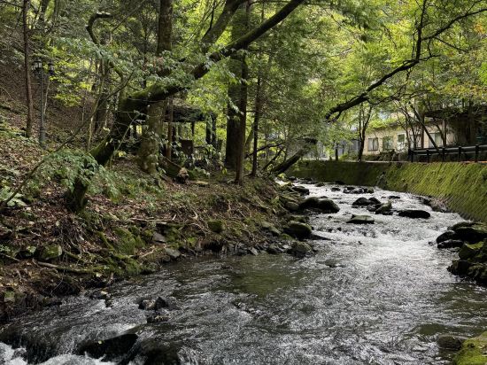 扉温泉明神館 クーポン
