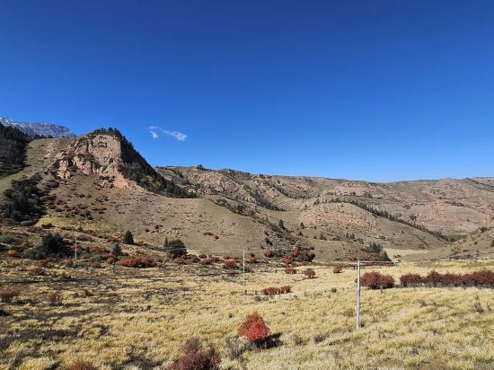 宜必思飯店（張掖市政府店）優惠