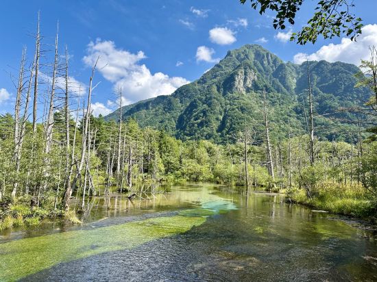 ダイワロイネットホテル 名古屋駅前 クーポン