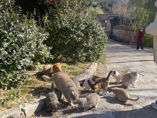 古北水鎮段家大院優惠