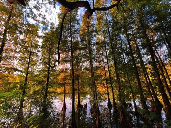 肇慶喜來登酒店優惠