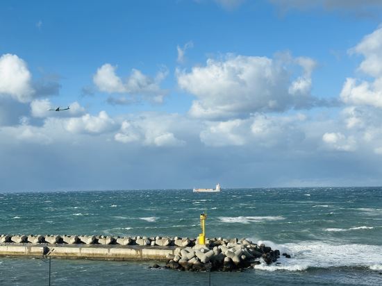 호텔 리젠트 마린 더블루 쿠폰