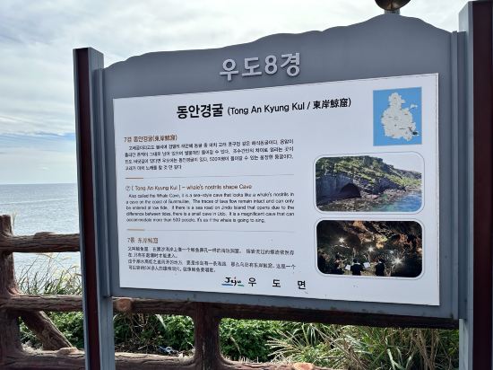 제주 우도달그리안펜션(전기자동차 대여) 쿠폰