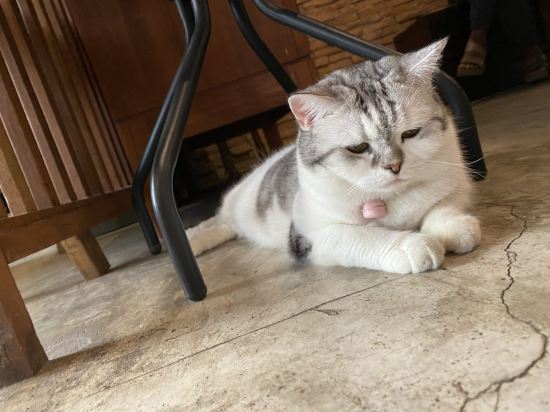 清邁蘇尼塔旅館優惠