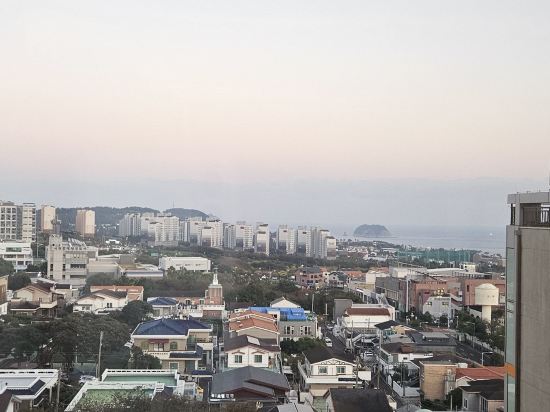 타마라 제주 쿠폰