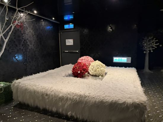 台北大直薇閣精品旅館優惠