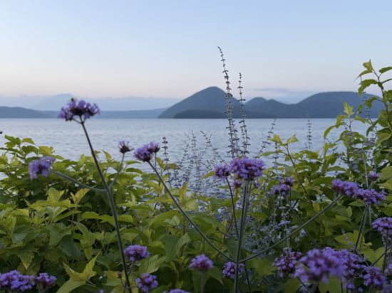 洞爺 湖畔亭 クーポン