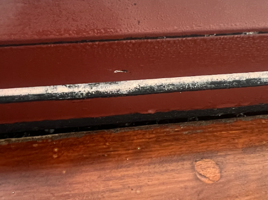 瑞丁貝爾特酒店優惠