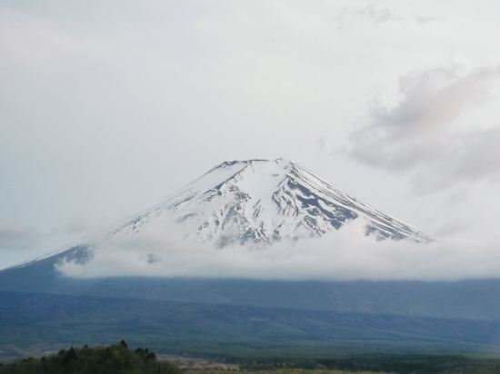 富士山温泉 ホテル鐘山苑 クーポン