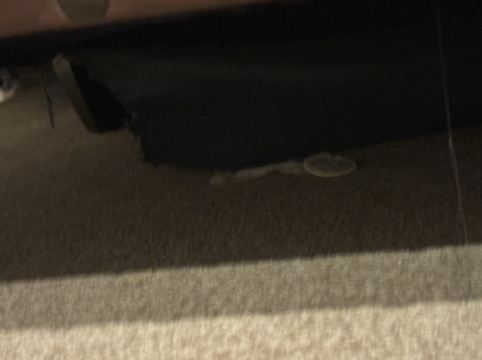 亞馨智選酒店優惠