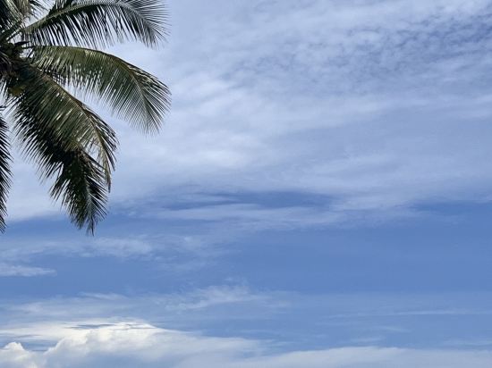 萬寧神州半島雲想海景公寓優惠