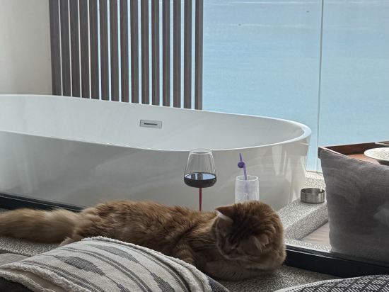 深圳INNOBAY楹諾·小半灣民宿優惠