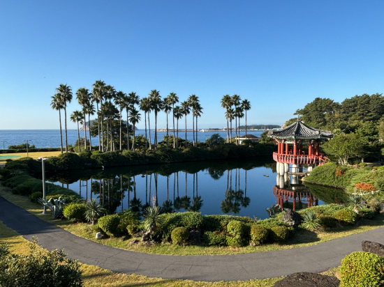 서귀포 칼 호텔 쿠폰