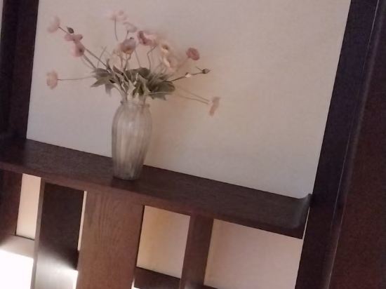 聊城麗洲璞悦酒店優惠