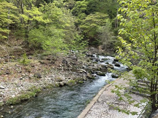 秘湯の宿　元泉館 クーポン