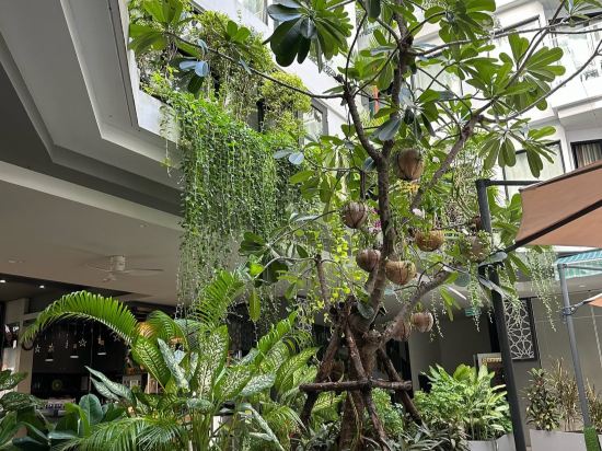 澤希納度假村及水療中心 （SHA Extra Plus）優惠