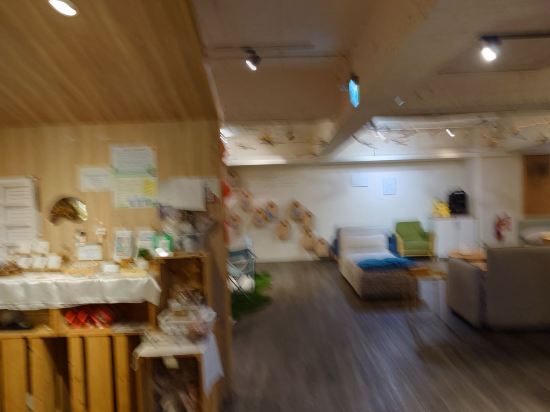 漂鳥草悟道青年旅館優惠